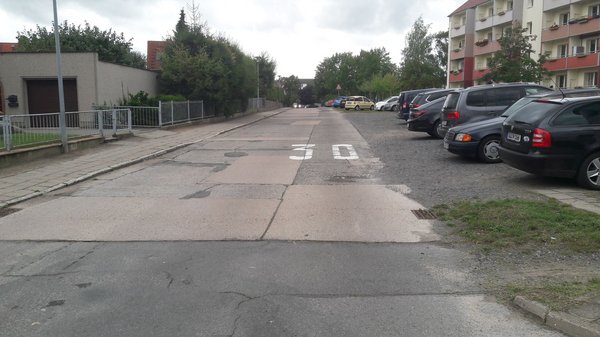 Bärstämmweg Foto